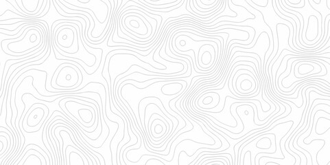 Vector white wave line geography landscape Topo contour map on white background. Geographic mountain relief diagram line wave carve pattern. Topographic world map contour lines map.