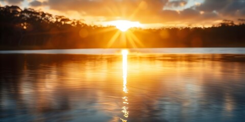 Obraz premium Golden Glow Sun setting behind trees illuminating solar panels by the lake. Concept Nature Photography, Solar Power, Sunset Captures, Renewable Energy, Lakeside Views