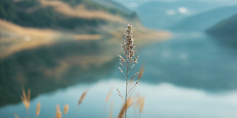 Close up of a single grass stem with blurred mountainous landscape and lake in the background, serene nature scene