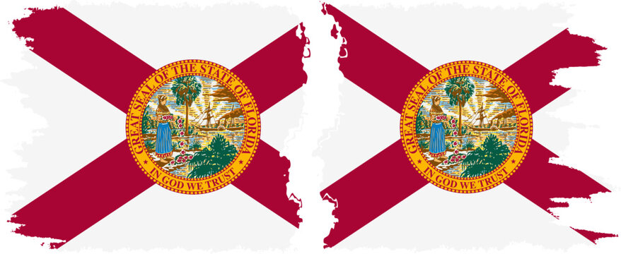 Florida and Florida states grunge brush flags connection vector