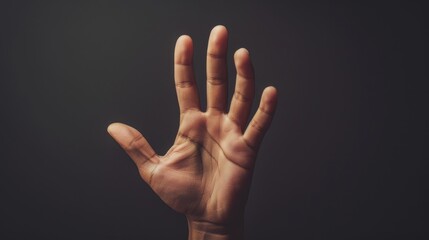 International Day of the Deaf. International Sign Language Day. sign language