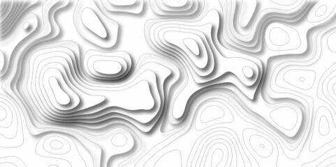 Vector white wave line geography landscape Topo contour map on white background. Geographic mountain relief diagram line wave carve pattern. Topographic world map contour lines map.