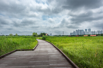 It is a picture of Soraepogu in Incheon, South Korea	