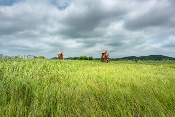 It is a picture of Soraepogu in Incheon, South Korea	
