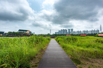 It is a picture of Soraepogu in Incheon, South Korea	