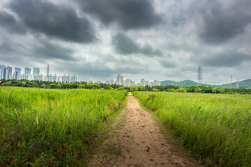 It is a picture of Soraepogu in Incheon, South Korea	