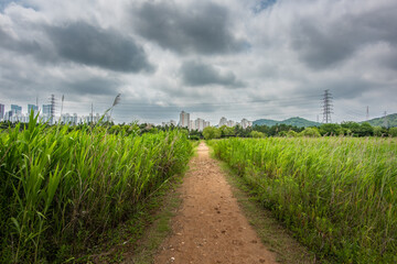 It is a picture of Soraepogu in Incheon, South Korea	