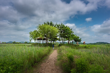 It is a picture of Soraepogu in Incheon, South Korea	