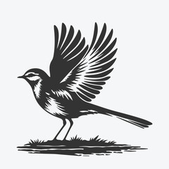 Captivating Wagtail Silhouette, Graceful Beauty in Nature's Dance