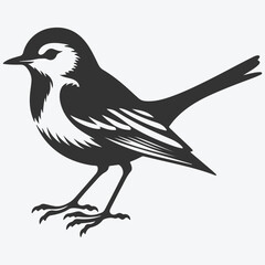 Fototapeta premium Captivating Wagtail Silhouette, Graceful Beauty in Nature's Dance