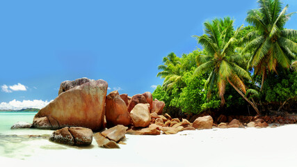 Tropical island with beach and palm trees