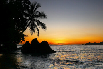 Seychelles tropical island beach palm trees sunset