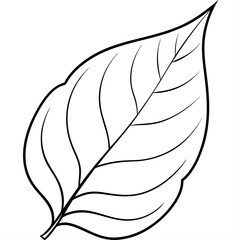 Obraz premium leaf outline coloring book page line art illustration digital drawing