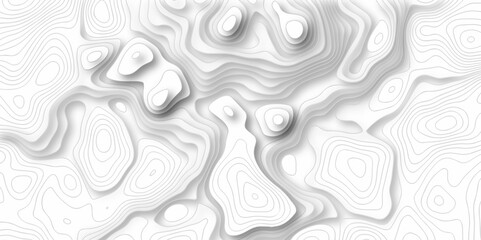 Vector white wave line geography landscape Topo contour map on white background. Geographic mountain relief diagram line wave carve pattern. Topographic world map contour lines map texture.