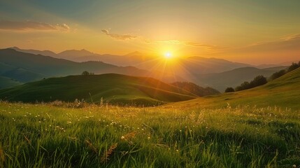 Obraz premium Scenic Morning Views of Nature