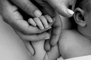 Small hand of a newborn baby with tiny fingers, head, nose and ear of a newborn. Palm hand of parents, father and mother of a newborn. Studio macro black and white photography. 