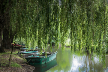 The Poitevin marsh, in western France