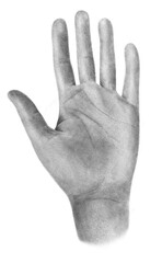 Human hand, open palm, chalk tattoo illustration isolated on white background