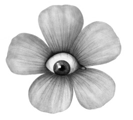 Flower with eye core surreal psychedelic chalk tattoo illustration