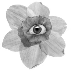 Flower with eye core surreal psychedelic chalk tattoo illustration