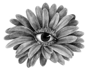 Flower with eye core surreal psychedelic chalk tattoo illustration