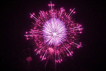 Fototapeta premium Bright multi-coloured fireworks on the black sky background. Fireworks competition in Montreal. Firework shot with selective focus and copy space. Flower-like fireworks on the sky. 