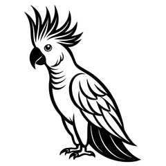  Elegant Single Cockatoo Vector Silhouette Line Art Illustration Design.