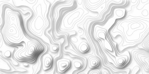 Vector white wave line geography landscape Topo contour map on white background. Geographic mountain relief diagram line wave carve pattern. Topographic world map contour lines map.