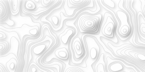 Vector white wave line geography landscape Topo contour map on white background. Geographic mountain relief diagram line wave carve pattern. Topographic world map contour lines map.