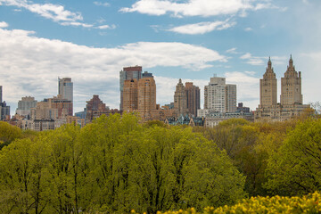 Manhattan Skyline and Central Park New York City