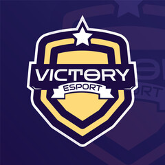 Obraz premium sword sport logo vector. professional for a team or tournament.