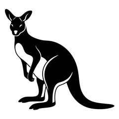 kangaroo vector illustration