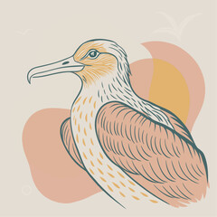 Frigatebird Vector for various uses