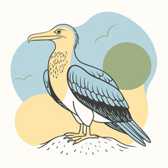 Frigatebird Vector for various uses