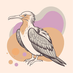 Frigatebird Vector for various uses