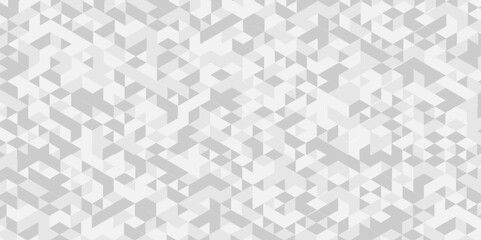 Vector geometric seamless technology gray and white triangle element light background. Abstract digital grid light pattern white Polygon Mosaic triangle Background, business and corporate background