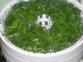 The process of drying plant foods in a special dehydrator. Vegetarian cuisine.