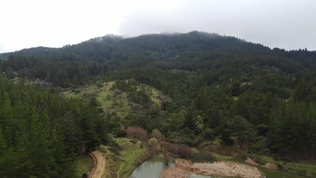 Bosque y Tranque Itata Portezuelo &Ntilde;uble Chile