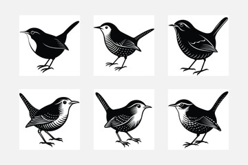 set of silhouettes of Warren birds