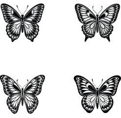 collection of butterflies vector silhouette 