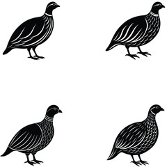 collection of Perdix  birds vector silhouette 