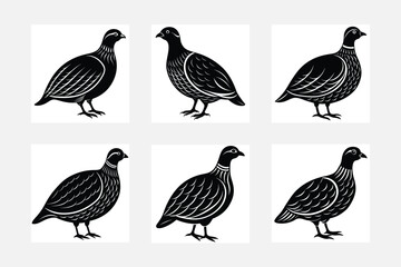 Perdix vector silhouette  set 