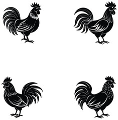 rooster isolated on white vector silhouette  set