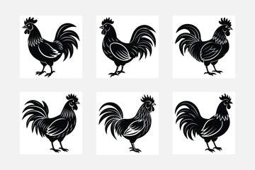 rooster vector silhouette  set