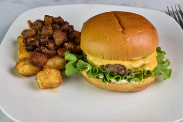 cheese burger tater tots top with chilli