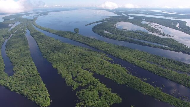 Aerial view of Anavilhas, the biggeste river archipelago of the world, in the Negro River, with  islands covered by igap&oacute;s, flooded vegetation - Amazon Region - Novo Air&atilde;o, Amazonas, Brazil