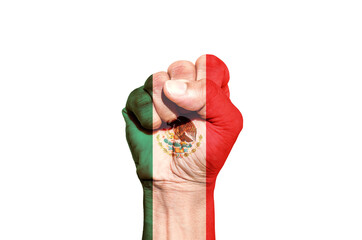 Fototapeta premium Man hand fist of Mexico flag painted, fist flag, Strength, Power, Protest concept.