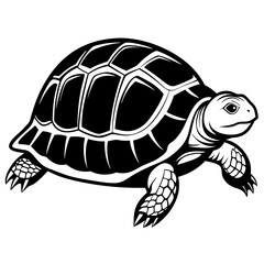 Turtles Vector Silhouette Illustration Design