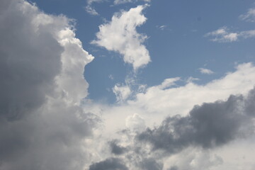Fototapeta premium voluminous and fluffy clouds on the blue sky, sky, clouds, white 