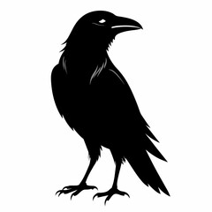 Crow black silhouette